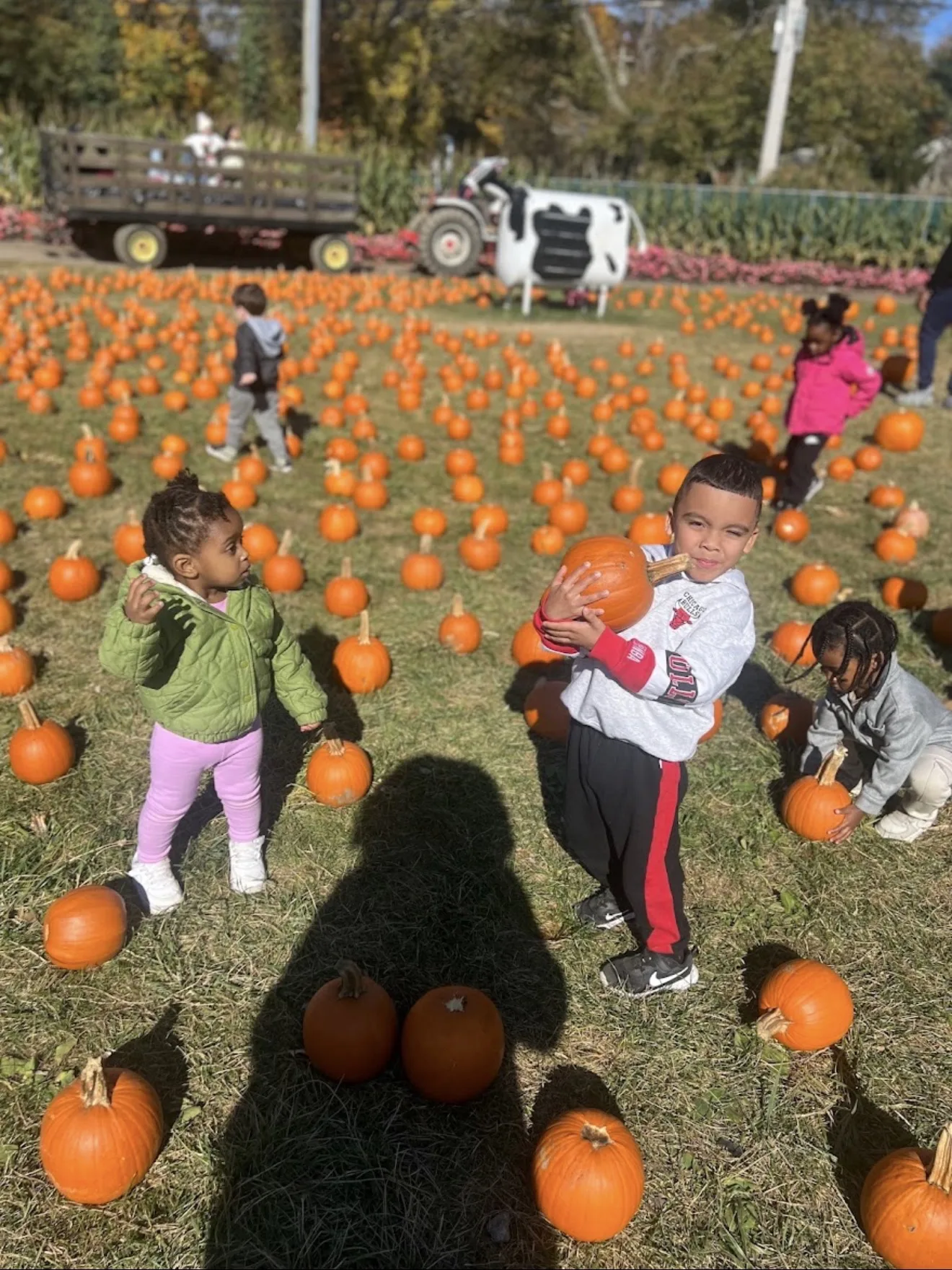 Children exploring the pumpkin patch on a fall field day